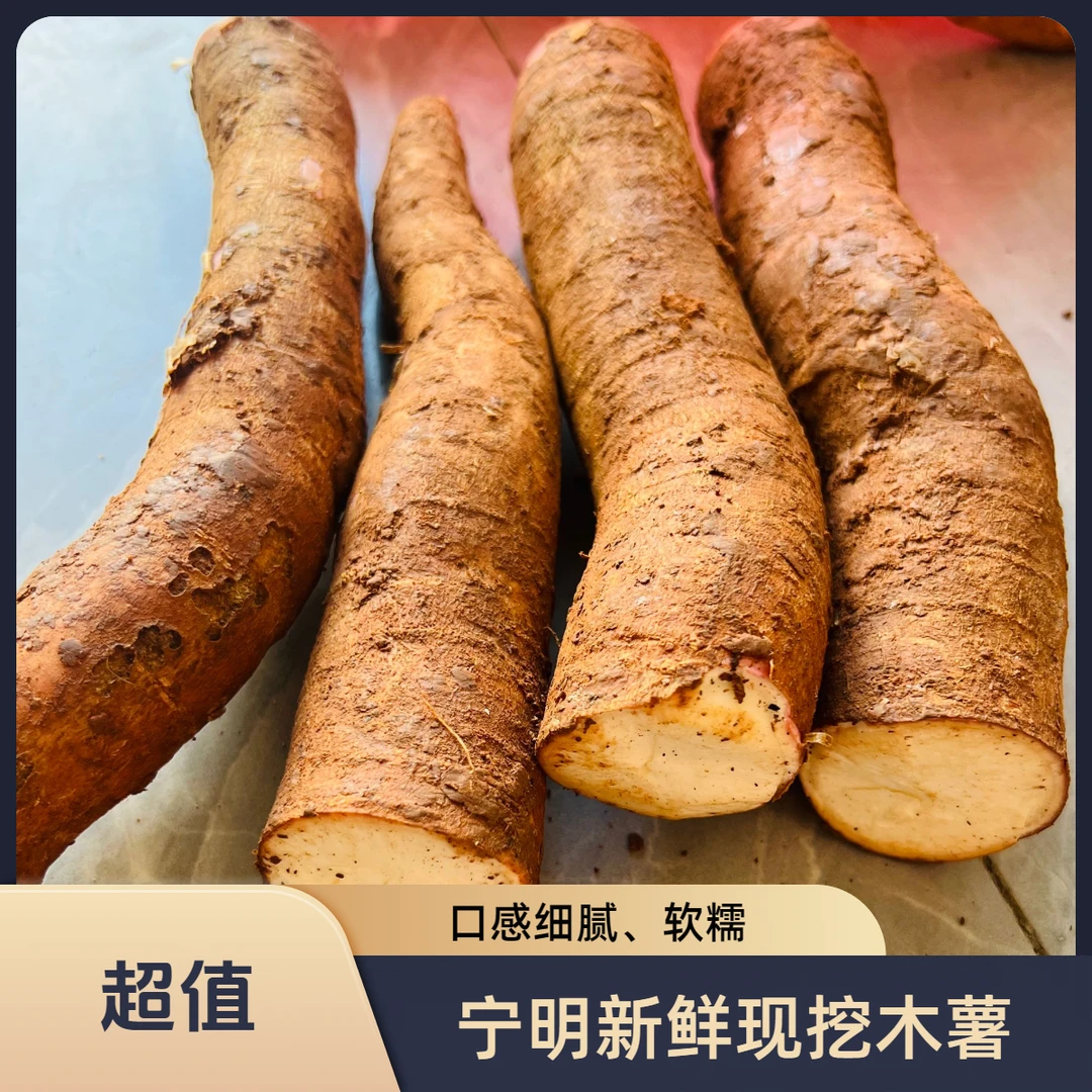新鲜现挖广西崇左宁明县木薯软糯农产品