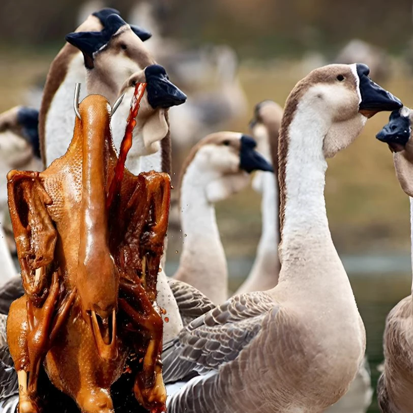 潮汕正宗狮头鹅肉 脱温特大种预包装生鲜