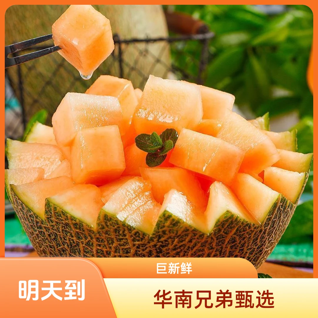 【明天到】哈密瓜【华南兄弟在甄选】海南省