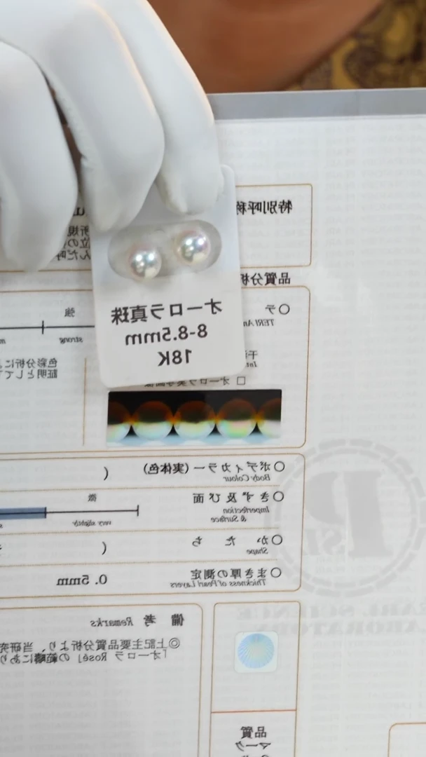 18K金镶嵌海水珍珠akoya耳钉8-8.5mm（带天女大证）