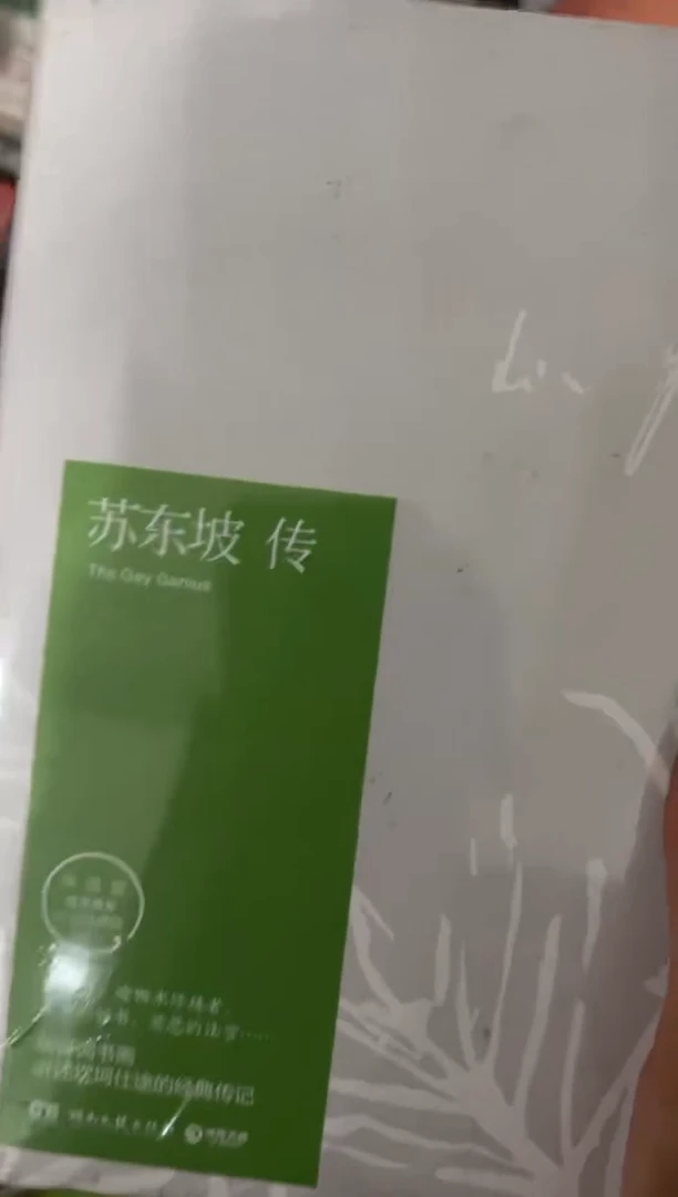 苏东坡传九米一个
