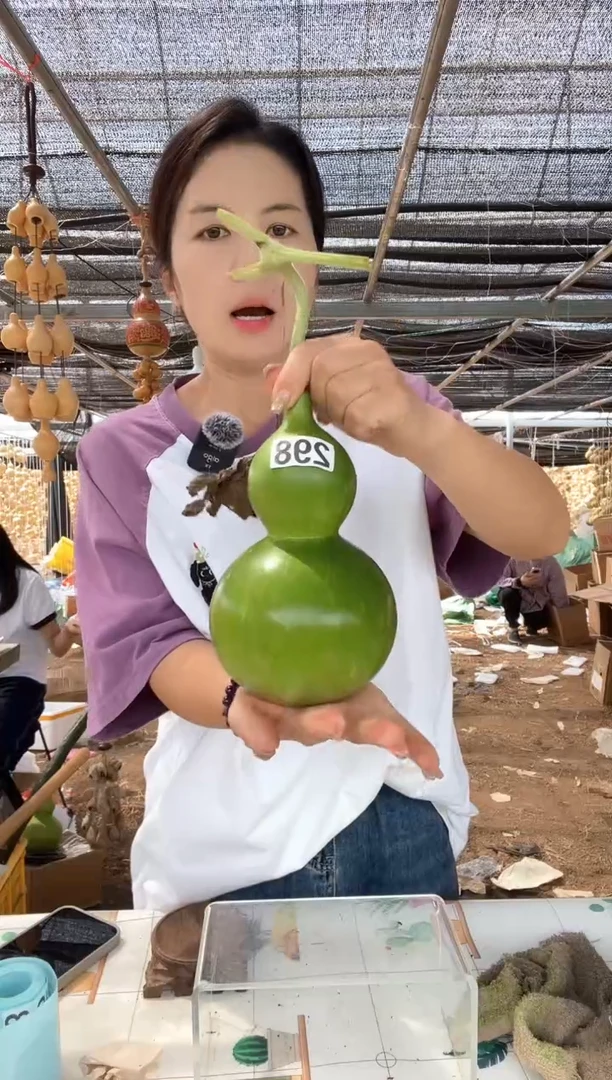 298天然葫芦摆件 一物一拍龙头不保售后