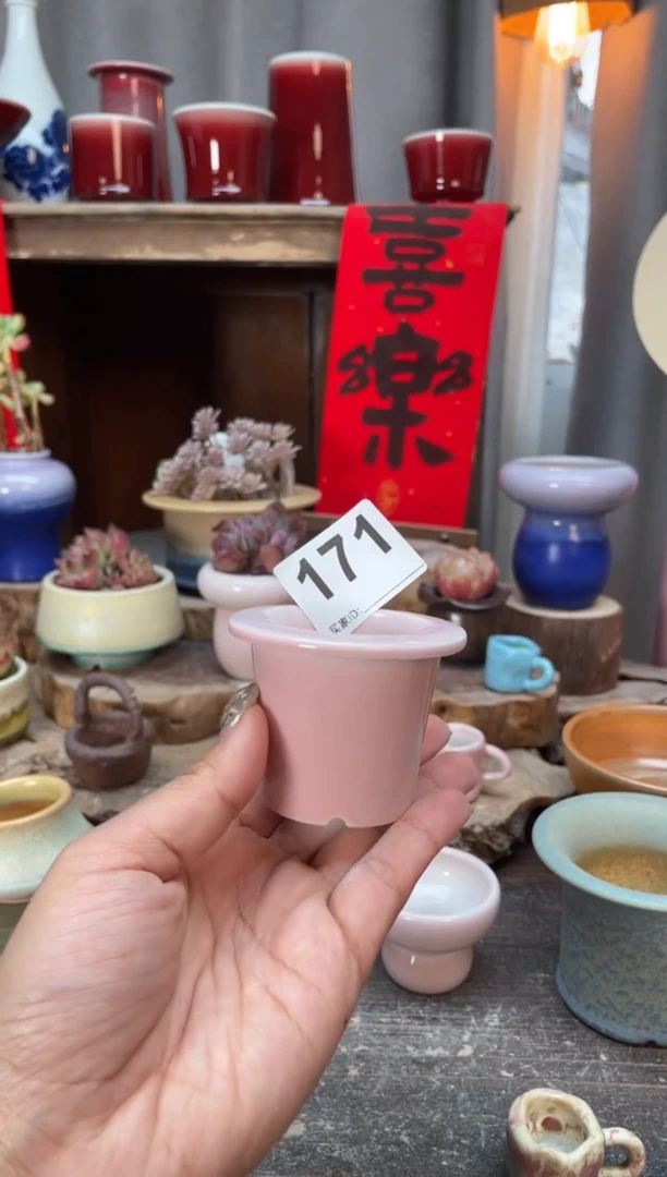 【闪购商品】摆件171知木小芳花盆