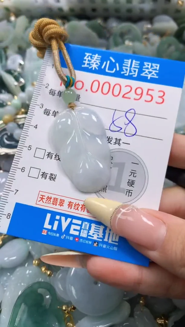 翡翠未镶嵌颈饰含绳0002953