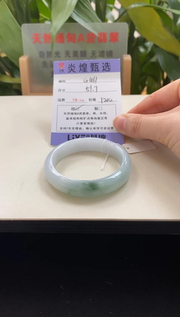 未镶嵌手镯翡翠圈口51.7编码g461