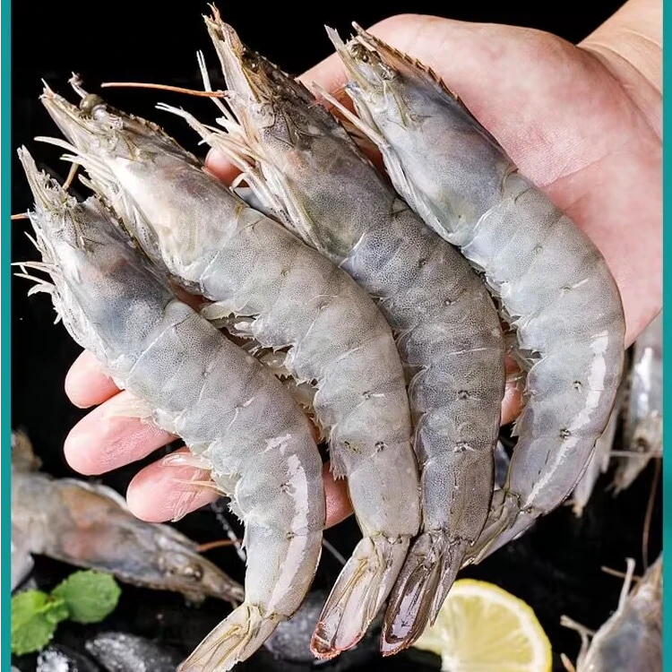 【海水大虾4斤】30-40大虾 肉质鲜甜脆嫩 大个头海水大虾 单只15-18cm一盒4斤50-60只 多仓发货顺丰次日达海虾