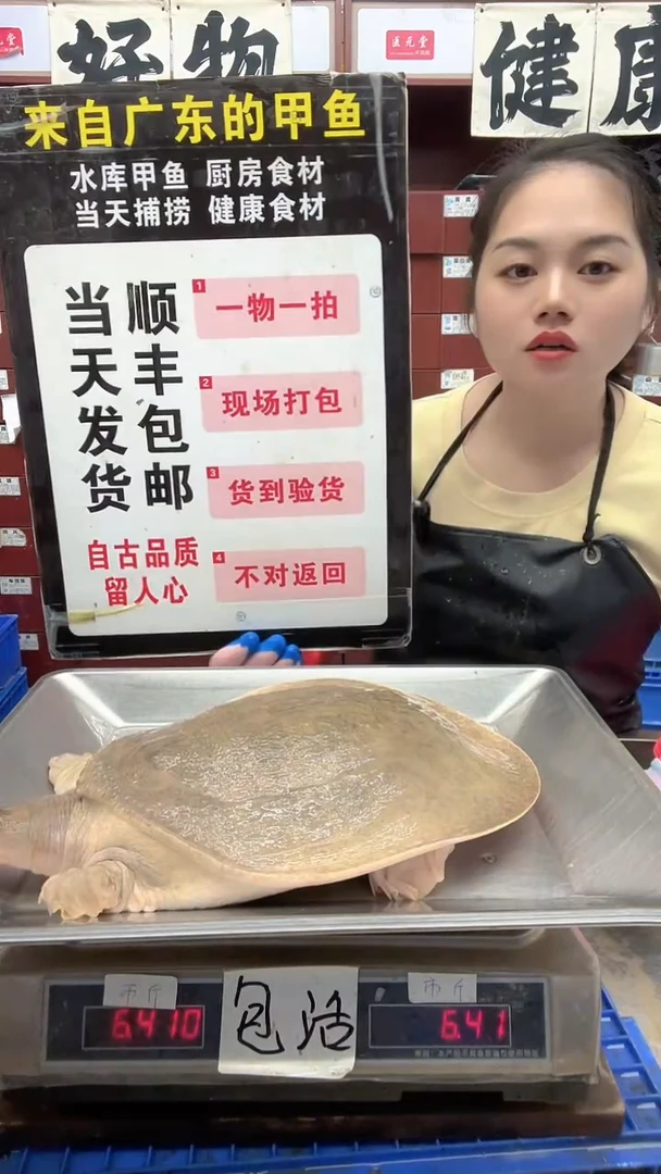 中国大陆天*哥6斤一只