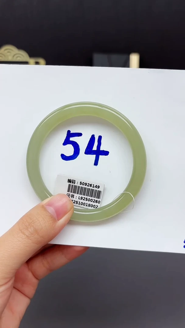 未镶嵌手镯和田玉6149