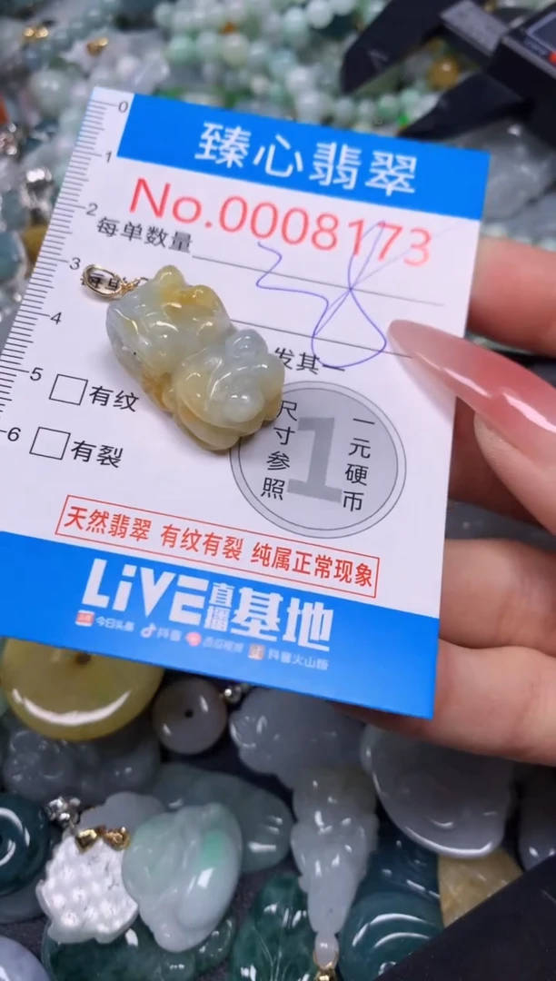 【闪购商品】翡翠颈饰未镶嵌含绳0008173