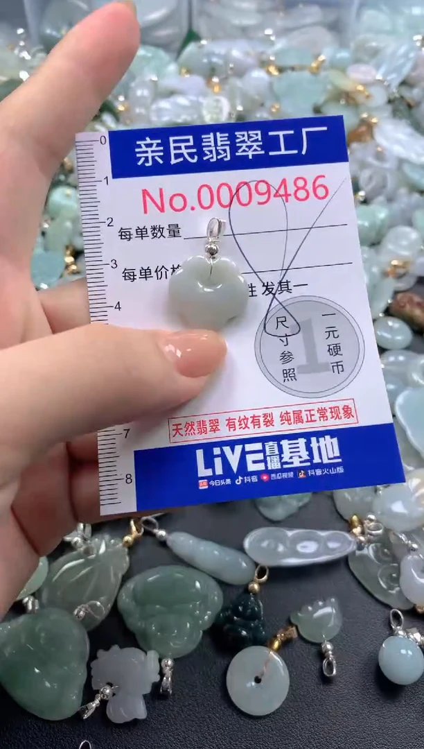 颈饰未镶嵌翡翠9486
