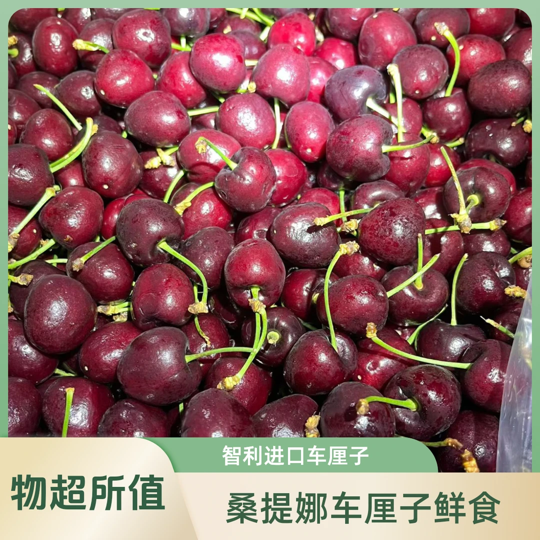 【改价】2.  2J桑提娜车厘子1-10斤海运 免费配送到家桑提娜智利