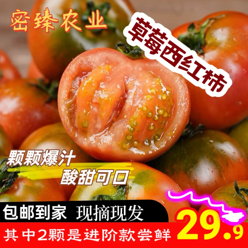 密臻农业密云口感番茄//铁皮西红柿/草莓番茄风味一号小番茄 3斤装 肉厚多汁 酸甜美味番茄同城送