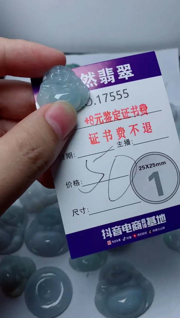 翡翠未镶嵌颈饰555