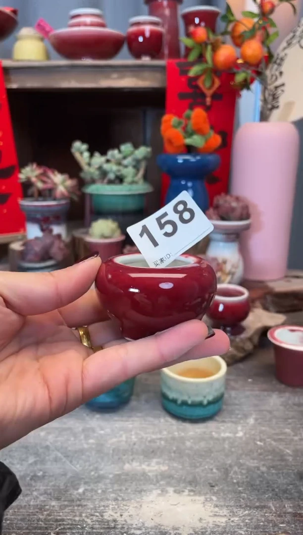 【闪购商品】摆件158微瑕知木小芳花盆