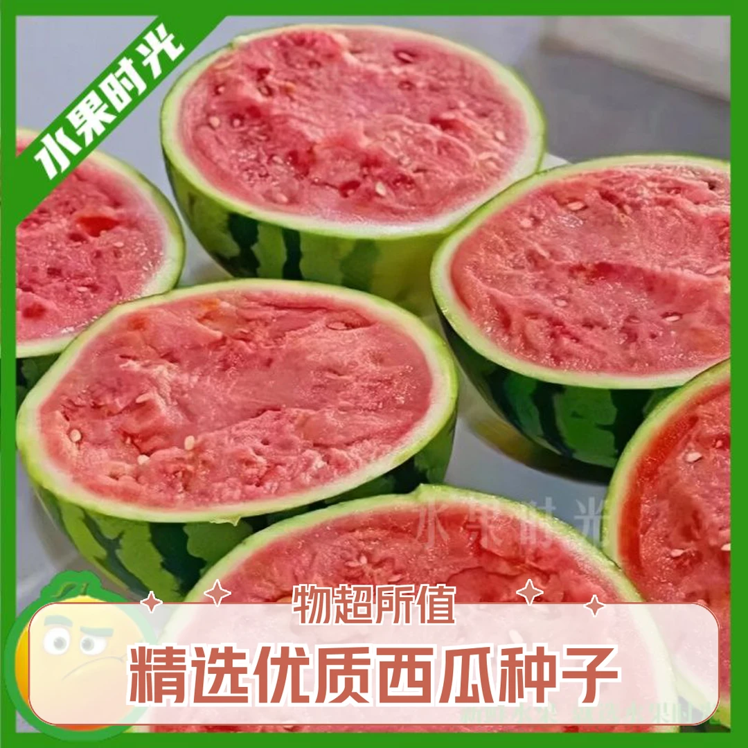 冰糖无籽麒麟西瓜约12斤西瓜同城送河北省