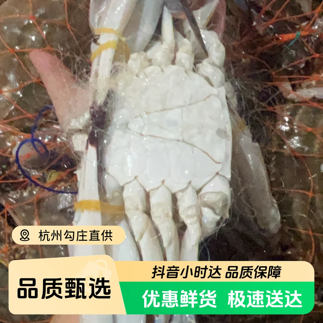 霸王梭子蟹1500g ±100g多送一只再送一根水磨年糕