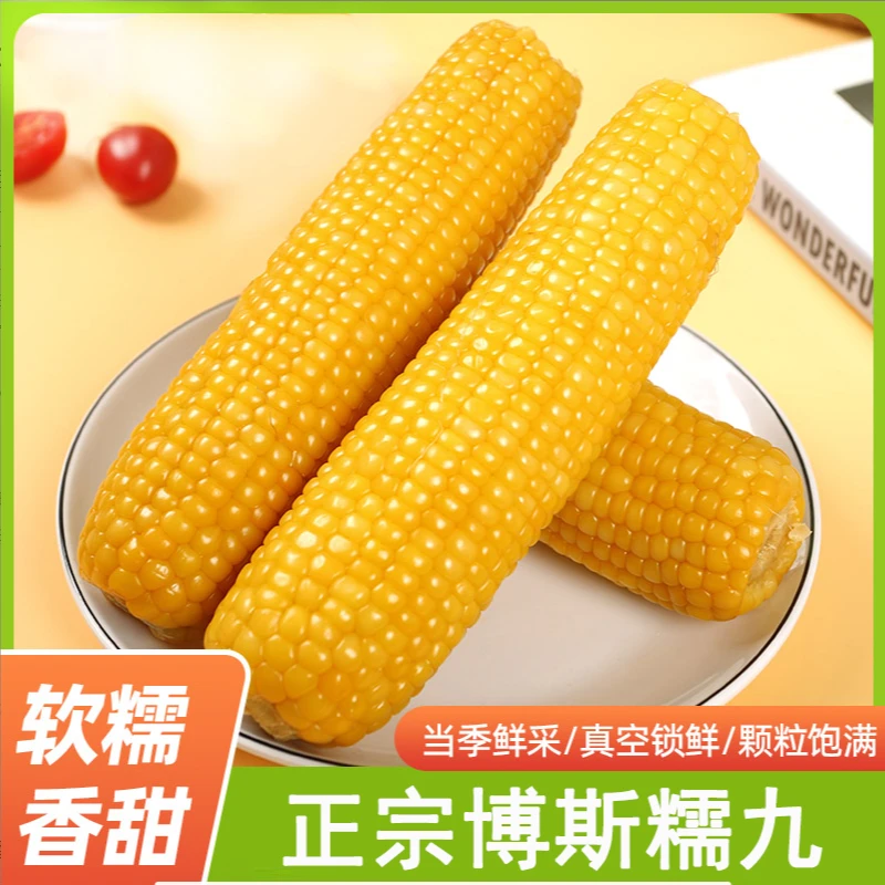 【试吃两根】2024年东北黄糯糯九玉米220g以上整箱5_6斤真空10支L