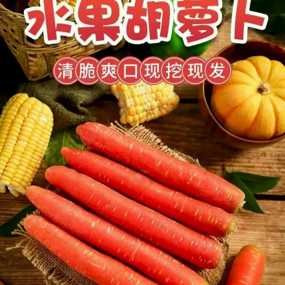 (2025新果)陕西沙地水果红萝卜新鲜现挖脆甜胡萝卜新鲜不是胡萝卜