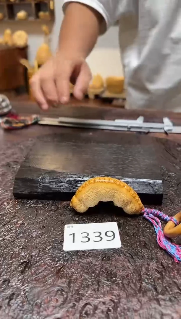 竹1339竹根竹根竹根