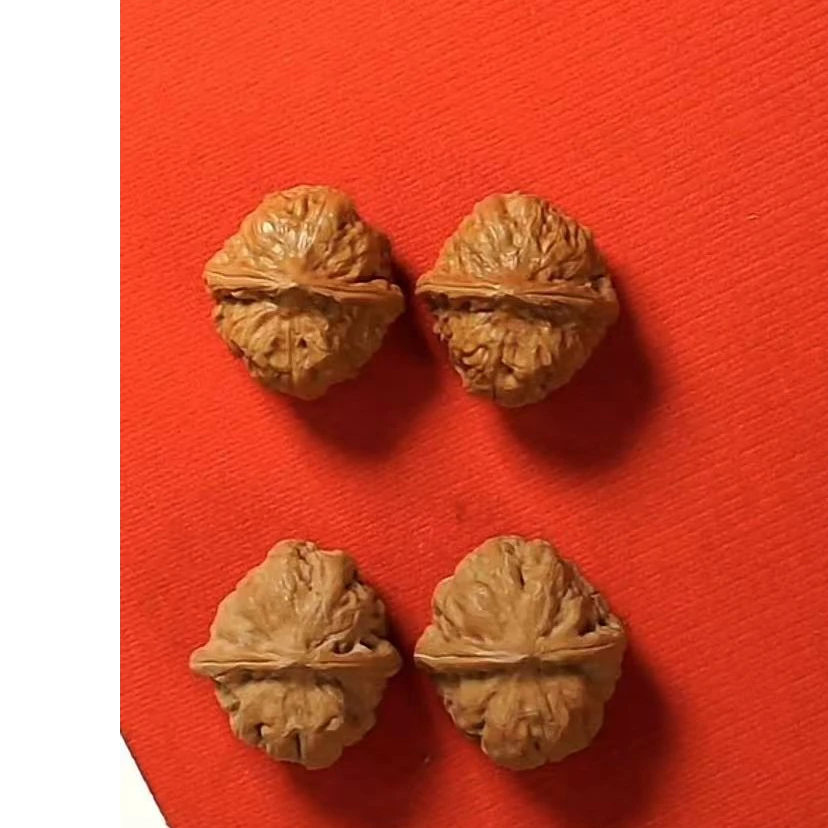 【 明台 】门头沟【元宝】盘玩核桃福利