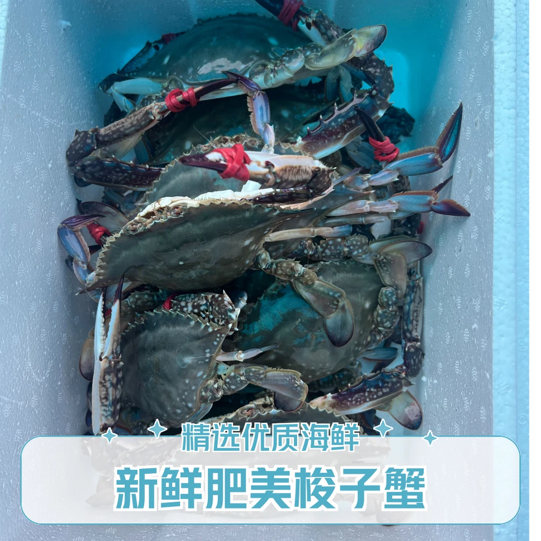 东港飞蟹二斤起装单只3两左右【保鲜不保活】