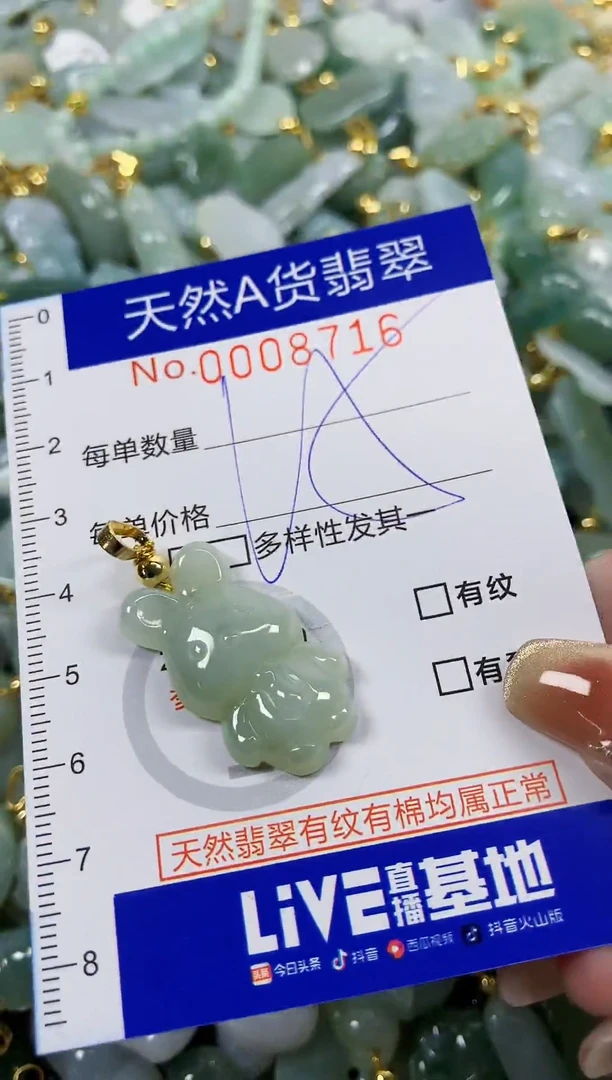 颈饰未镶嵌翡翠天然A货翡翠