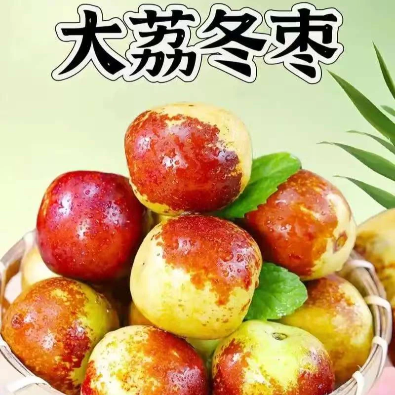 大荔冬枣脆甜/箱