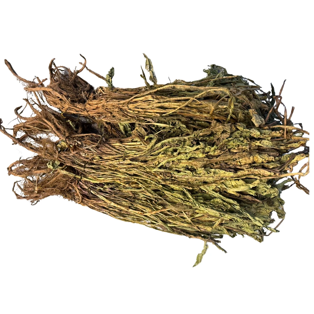 野生带根全草蒲公英干货500g包邮