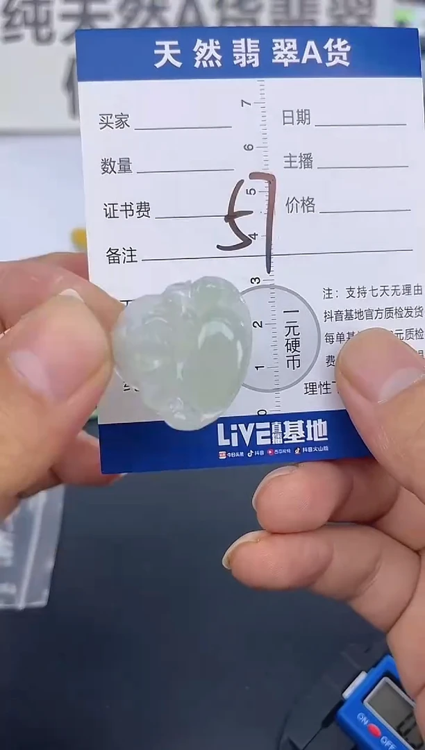 颈饰未镶嵌翡翠纯天然缅甸翡翠A货