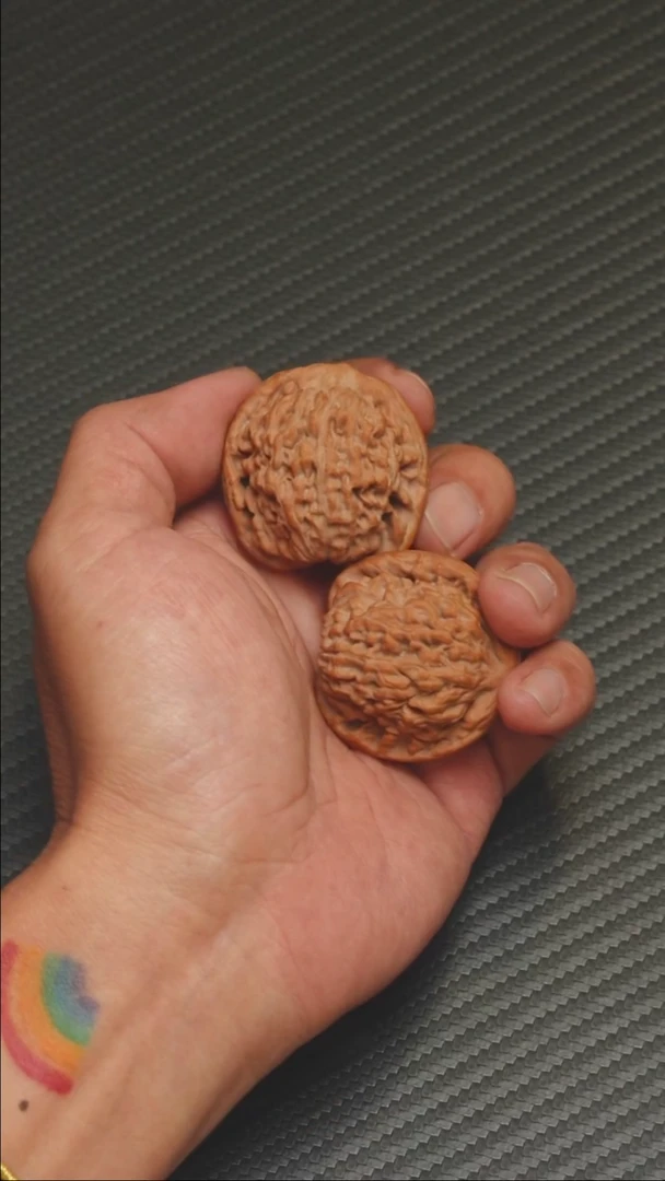 2025核桃季精品莲花38