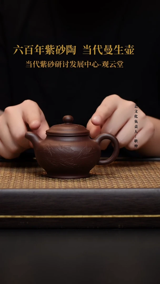 茶壶紫砂紫砂 掇只