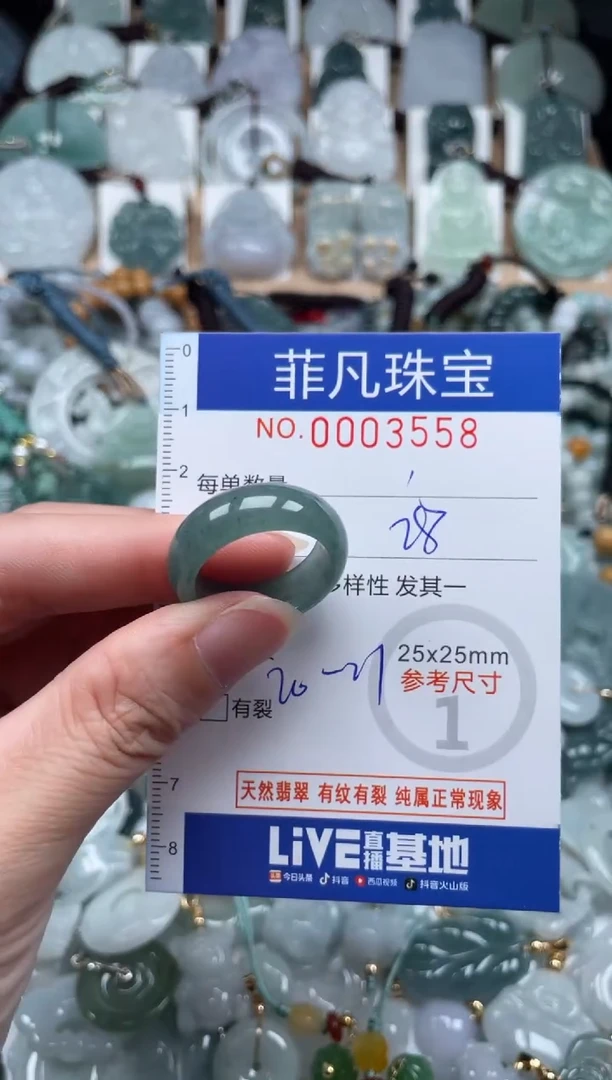 翡翠未镶嵌颈饰00..3558