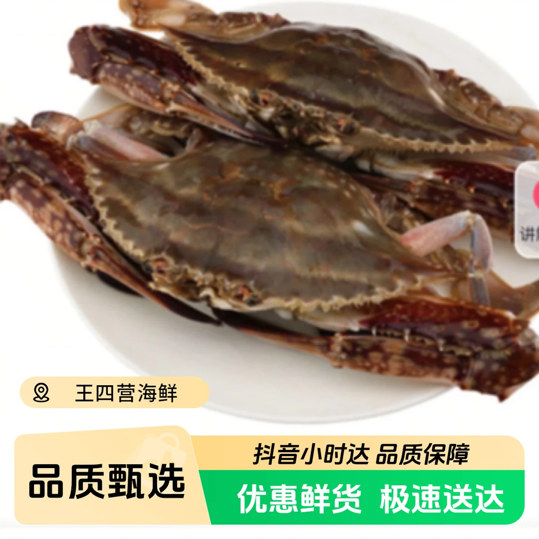 【特惠】鲜活梭子蟹，斤数可选2－3两（保鲜不包全活）海鲜梭子蟹同城