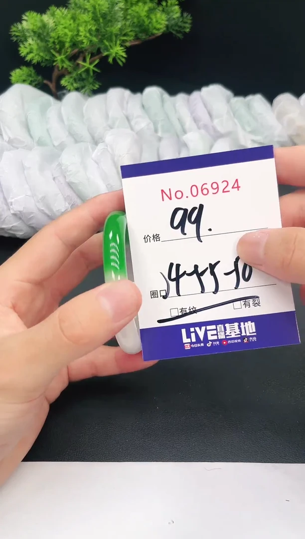 未镶嵌手镯翡翠06924