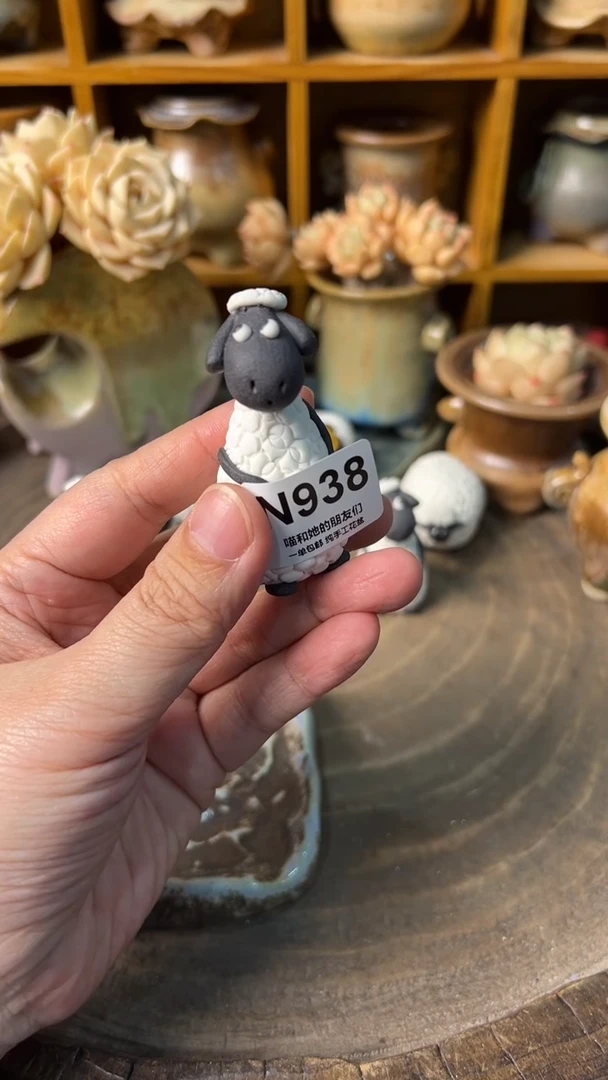 别****彩938【多肉花盆多肉盆】