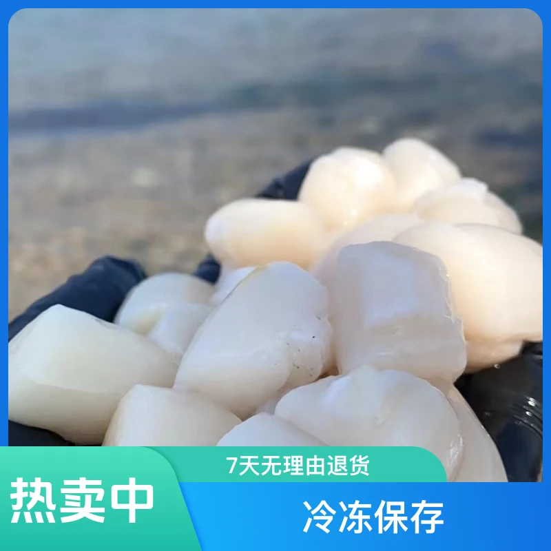 【渔岛二姐】手扒鲜扇贝贝丁/瑶柱丁（液氮冷冻）