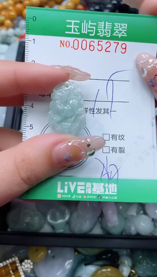 【闪购商品】翡翠颈饰未镶嵌闪购0065279