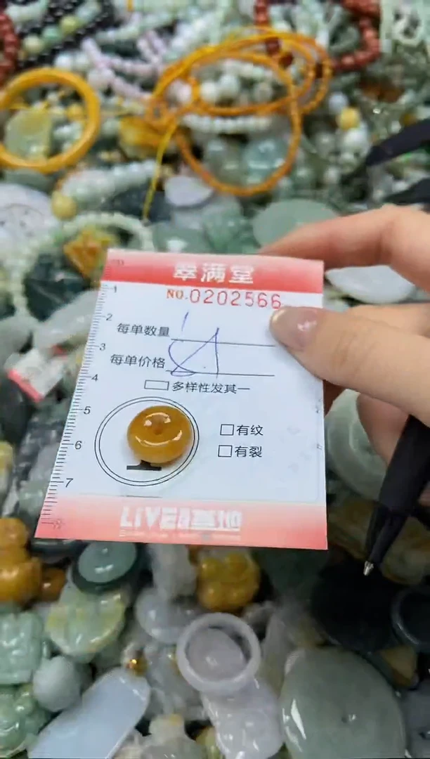 颈饰未镶嵌翡翠闪购0202566