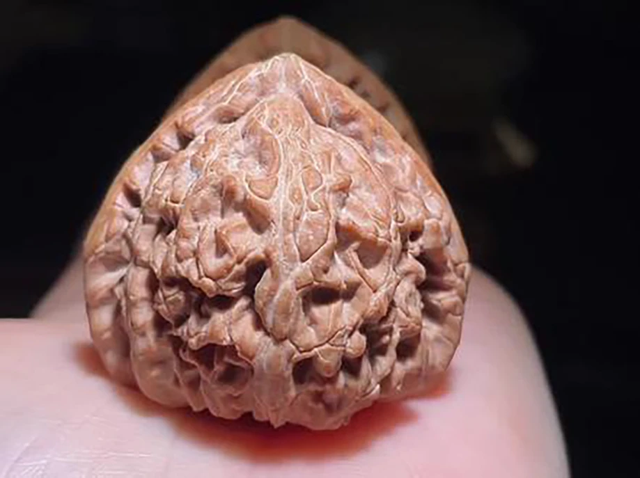 核桃文玩手玩把件