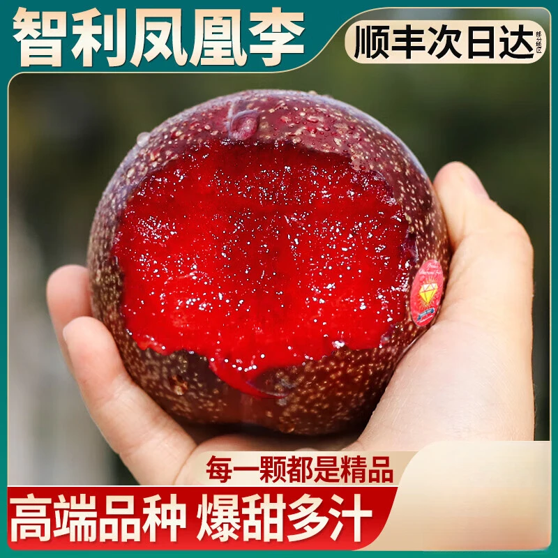 【顺丰】智利进口血丝李凤凰李当季新鲜水果红肉李子恐龙蛋坏果包赔