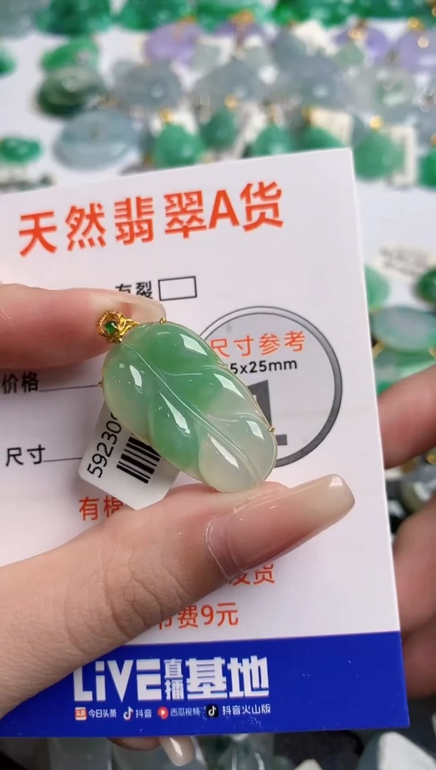 翡翠18K金镶嵌颈饰0933658363