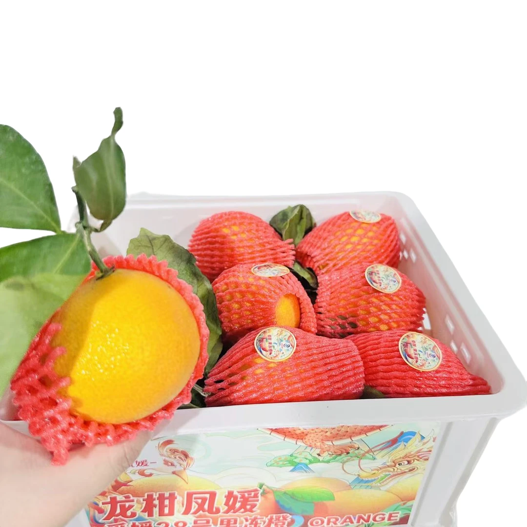 【塑料筐礼盒】5斤【爱媛果冻橙】果肉细嫩无渣，果皮轻薄，酸甜适宜，整箱发四川省