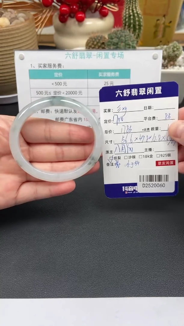 未镶嵌手镯翡翠?*yD2520060