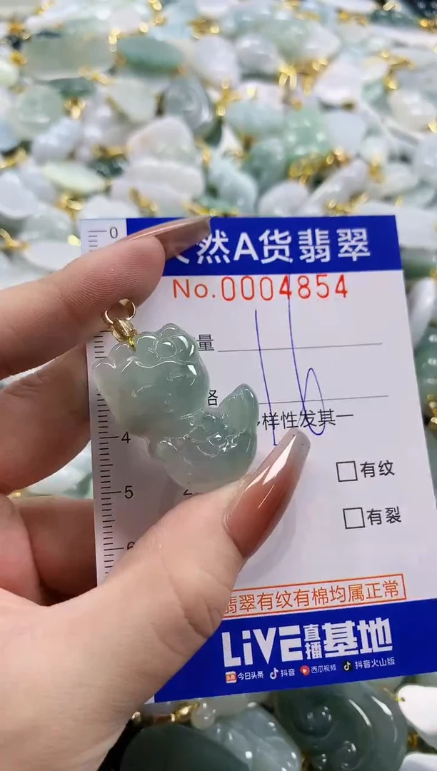 颈饰未镶嵌翡翠天然A货翡翠