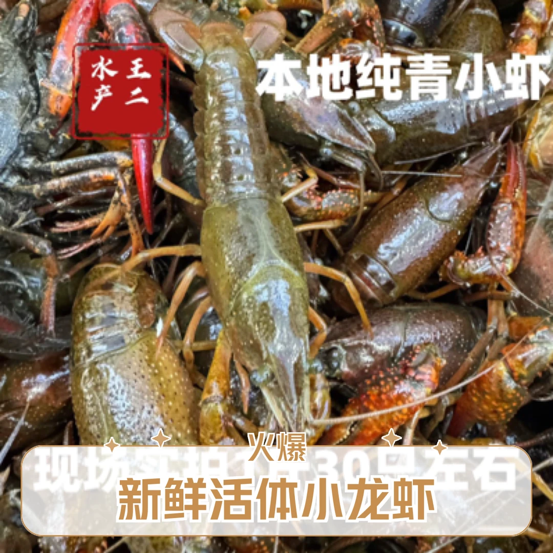 本地小青1斤（活虾送到家）