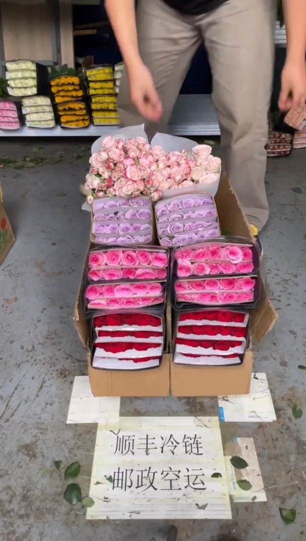 高原红20枝+洛神20枝+海洋之歌20枝+折射10枝