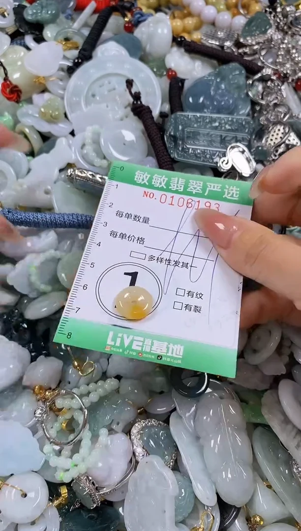 【闪购商品】翡翠颈饰未镶嵌闪购0106193