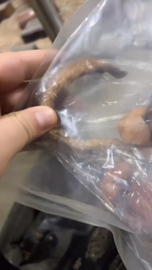 紫砂紫砂紫砂紫砂紫砂紫砂紫砂