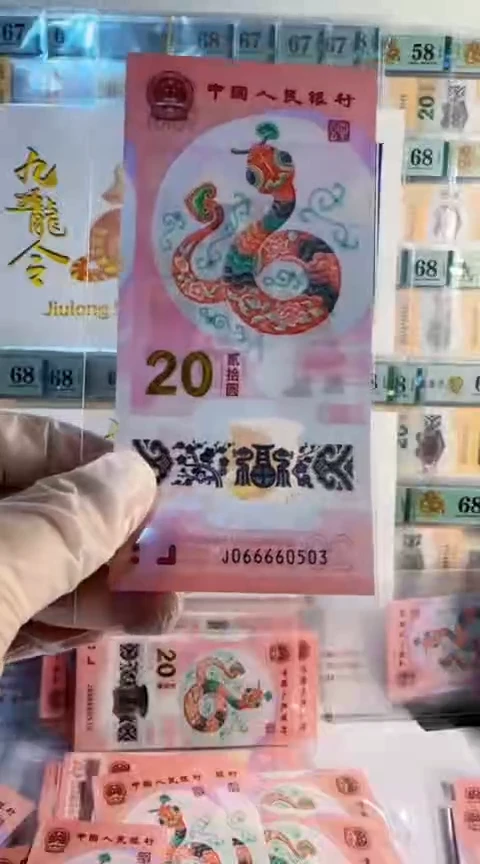 【闪购商品】九蛇令J066660503包68