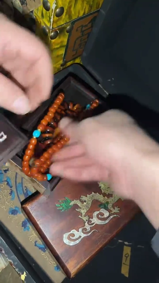 香榧木木木木多样性发其一  一套